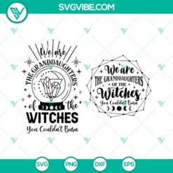 "We Are The Granddaughters Of The Witches You Couldn't Burn SVG - Powerful feminist quote on a black background with witch hat silhouette."