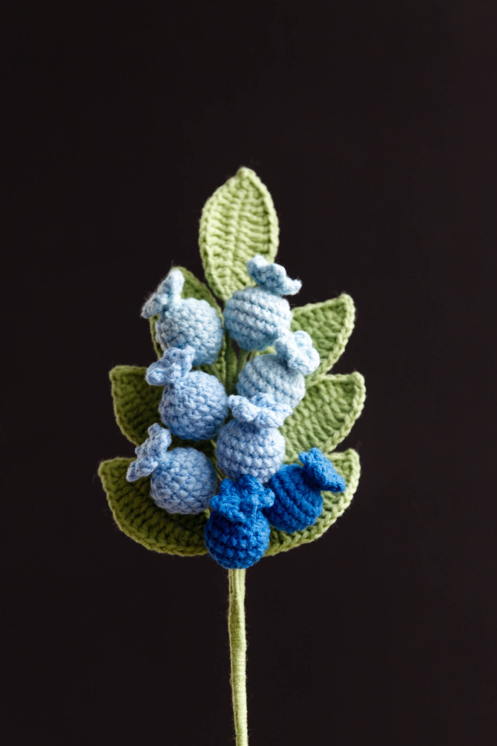 Crochet Blueberry Branch - PDF Pattern with Free Video Tutorial Crochet Blueberry Branch - PDF Pattern with Free Video Tutorial