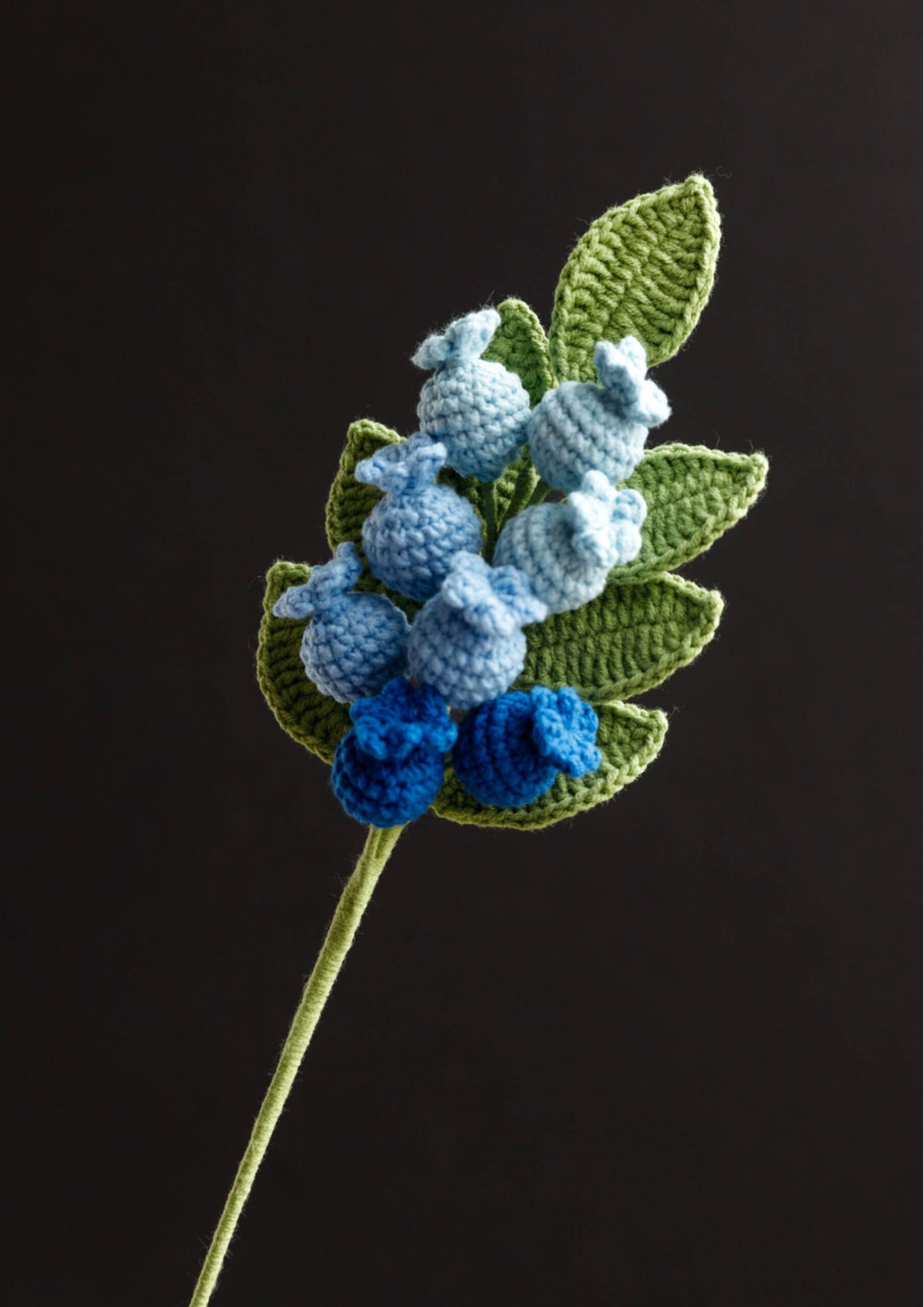 Crochet Blueberry Branch - PDF Pattern with Free Video Tutorial Crochet Blueberry Branch - PDF Pattern with Free Video Tutorial