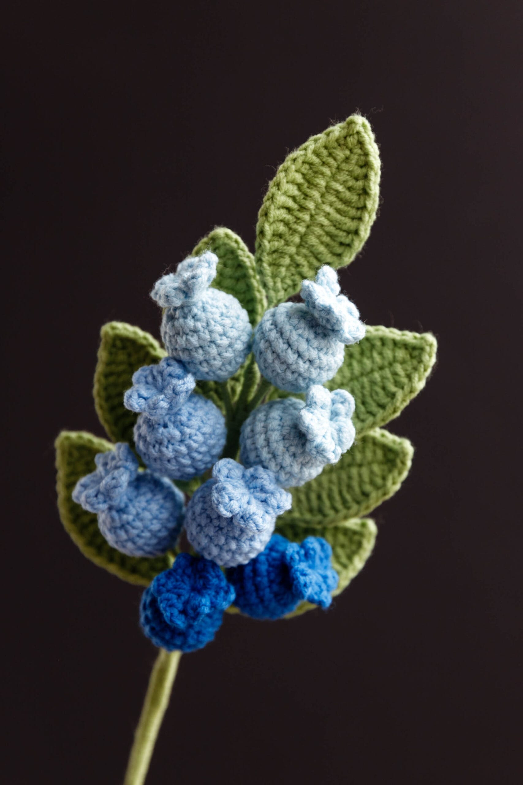 Crochet Blueberry Branch - PDF Pattern with Free Video Tutorial Crochet blueberry branch PDF pattern with free video tutorial, ideal for sewing enthusiasts.