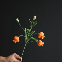 Crochet Chinese Lantern Lily - PDF pattern with free video tutorial, detailed crochet design with step-by-step instructions.