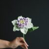 Crochet Clematis Florida - detailed PDF pattern and video tutorial for a beautiful flower design.
