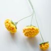 Crochet Dandelion PDF Pattern with Free Video Tutorial, crafting Spring flower crochet design.