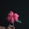 Crochet Double Hippeastrum - Detailed PDF Pattern with Complimentary Video Guide for creating a beautiful floral design.
