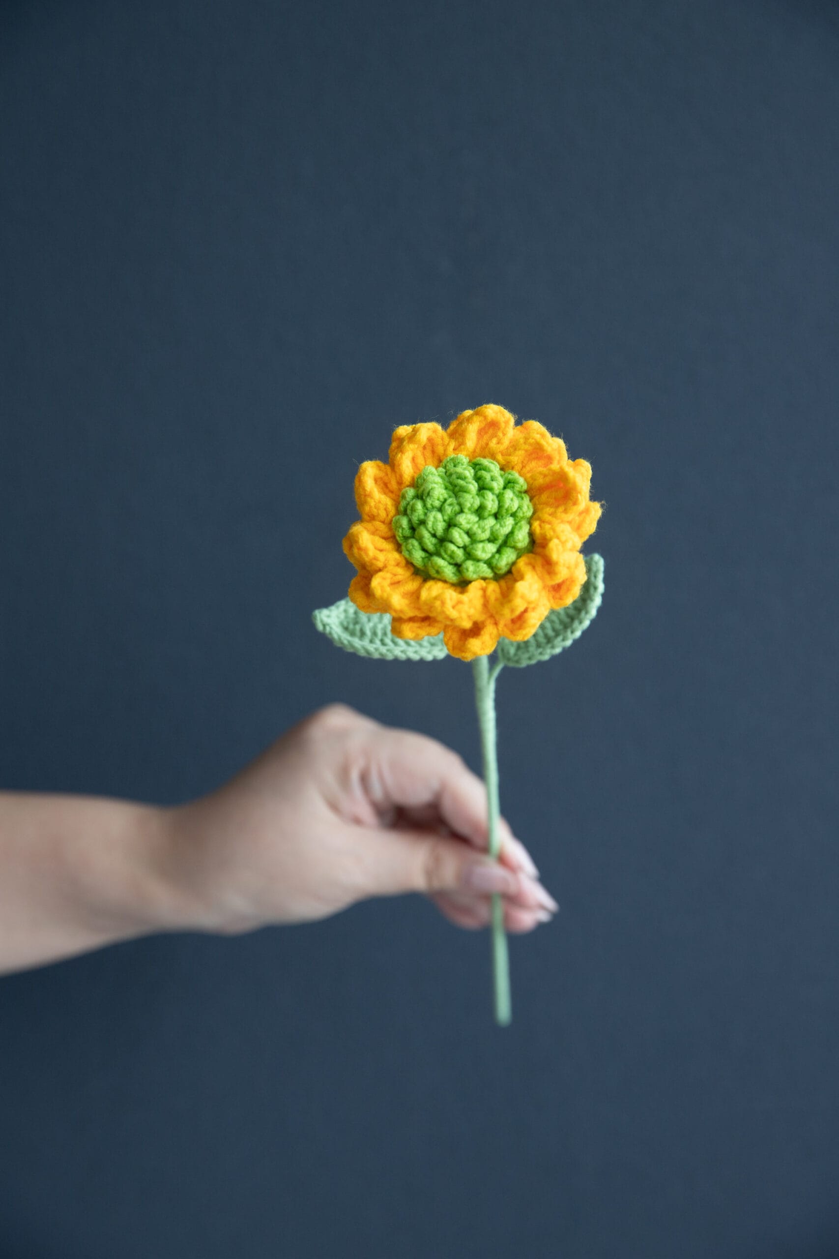 Crochet Double Layer Small Sunflower - PDF Pattern with Free Video Tutorial Crochet double layer small sunflower PDF pattern with free video tutorial, detailed crochet instructions, yarn, hook, crafting.
