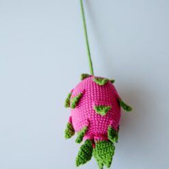 Crochet Dragon Fruit - PDF Pattern with Free Video Tutorial