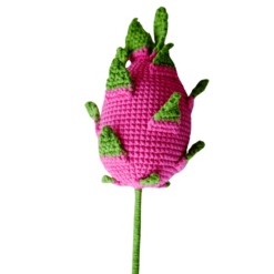 Crochet Dragon Fruit - PDF Pattern with Free Video Tutorial