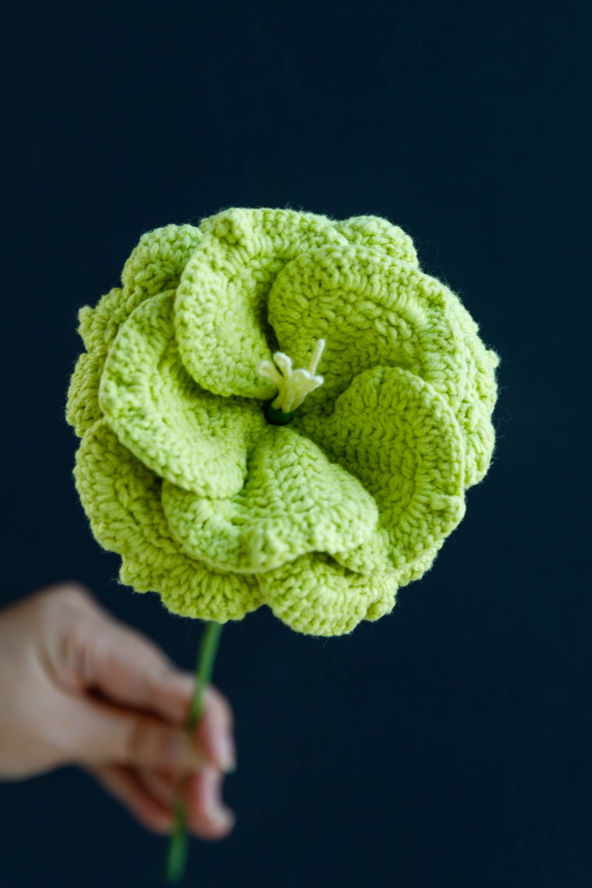 Crochet Eustoma Flower - PDF Pattern with Free Video Tutorial Crochet Eustoma Flower PDF Pattern with Free Video Tutorial, floral crochet guide for hobbyists, step-by-step instructions.