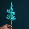 Crochet Ixia Viridiflora PDF Pattern - Free Video Tutorial, Floral Design, Crochet Instructions.