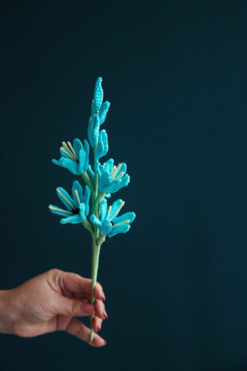 Crochet Ixia Viridiflora PDF Pattern - Free Video Tutorial, Floral Design, Crochet Instructions.