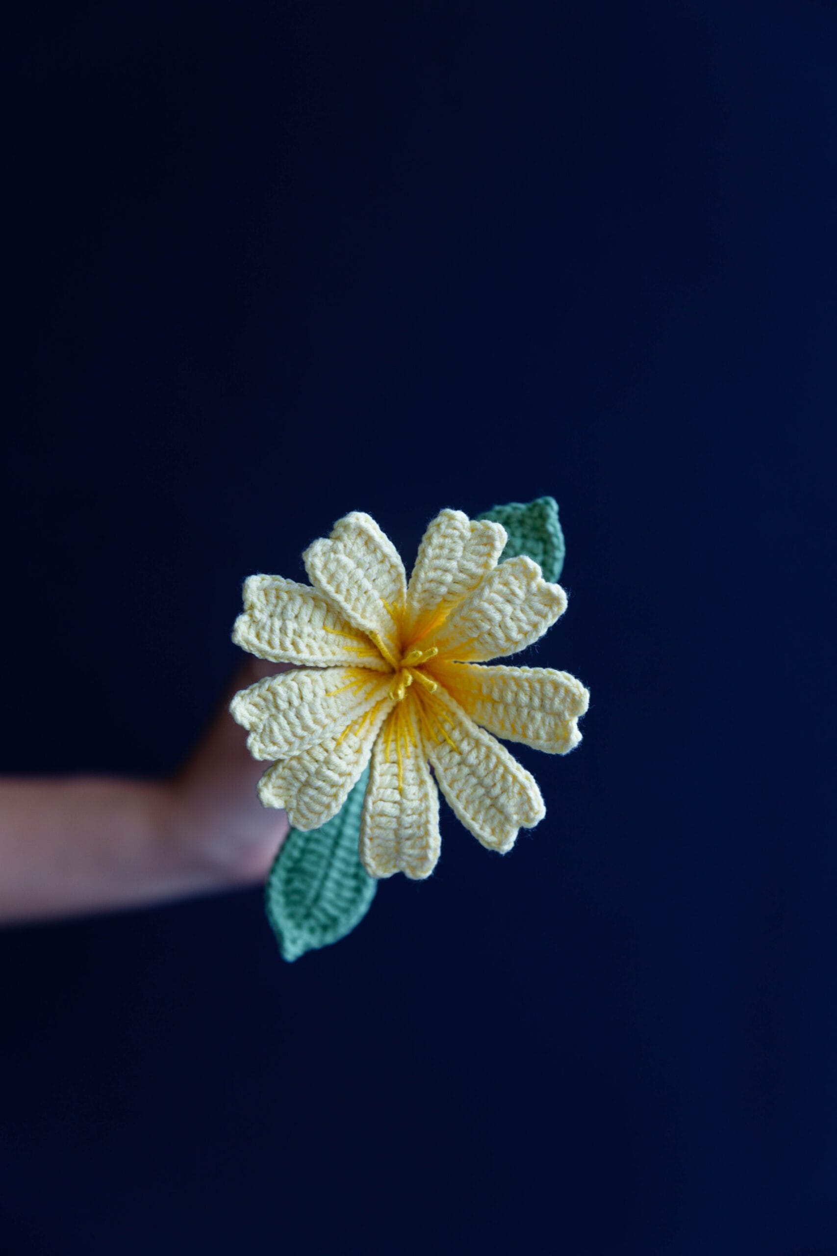 Crochet Lewisia Cotyledon Flower - PDF Pattern with Free Video Tutorial Crochet Lewisia Cotyledon Flower - PDF Pattern with Free Video Tutorial