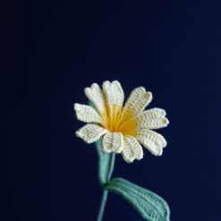 Crochet Lewisia Cotyledon Flower PDF Pattern with Free Video Tutorial, floral crochet design instructions and video included.