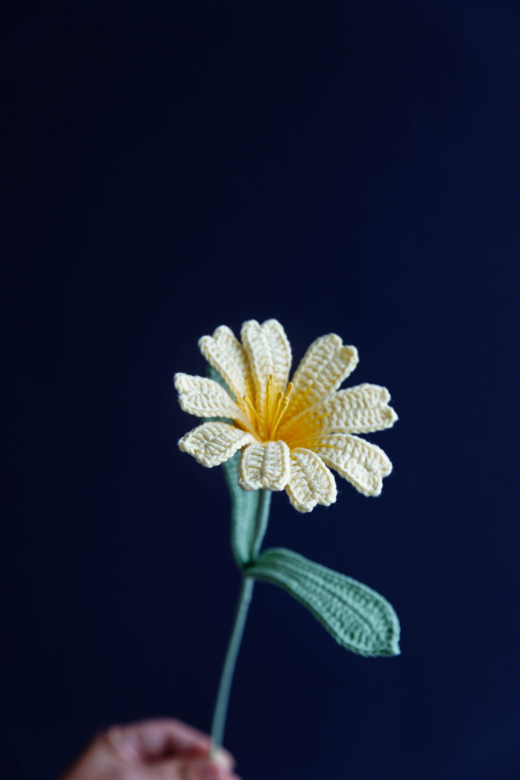 Crochet Lewisia Cotyledon Flower - PDF Pattern with Free Video Tutorial Crochet Lewisia Cotyledon Flower PDF Pattern with Free Video Tutorial, floral crochet design instructions and video included.