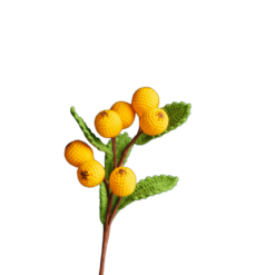 Crochet Loquat Branch - PDF Pattern with Free Video Tutorial