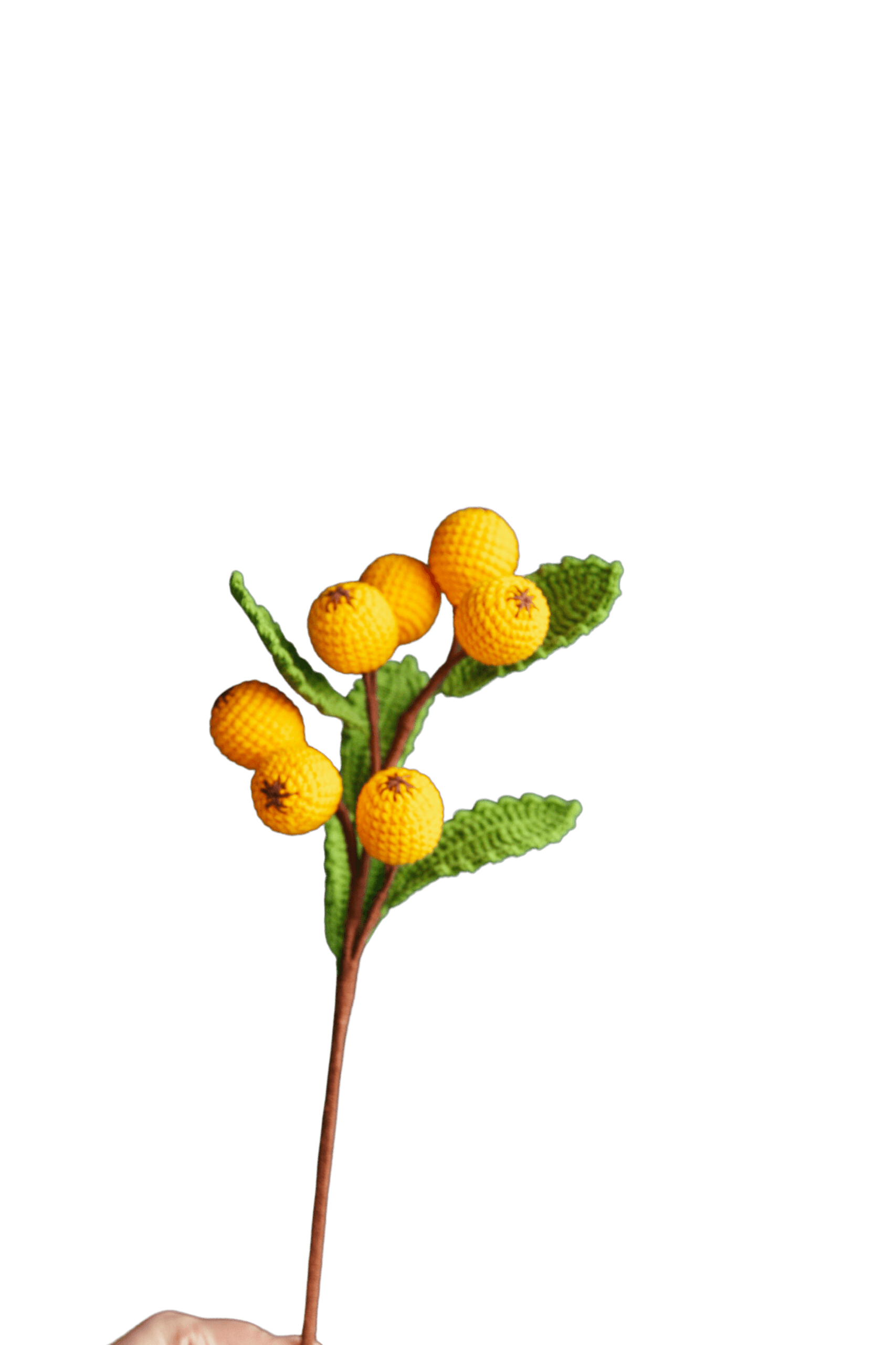 Crochet Loquat Branch - PDF Pattern with Free Video Tutorial Crochet Loquat Branch - PDF Pattern with Free Video Tutorial