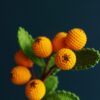 Crochet loquat branch PDF pattern, video tutorial included. Perfect for needlework enthusiasts.