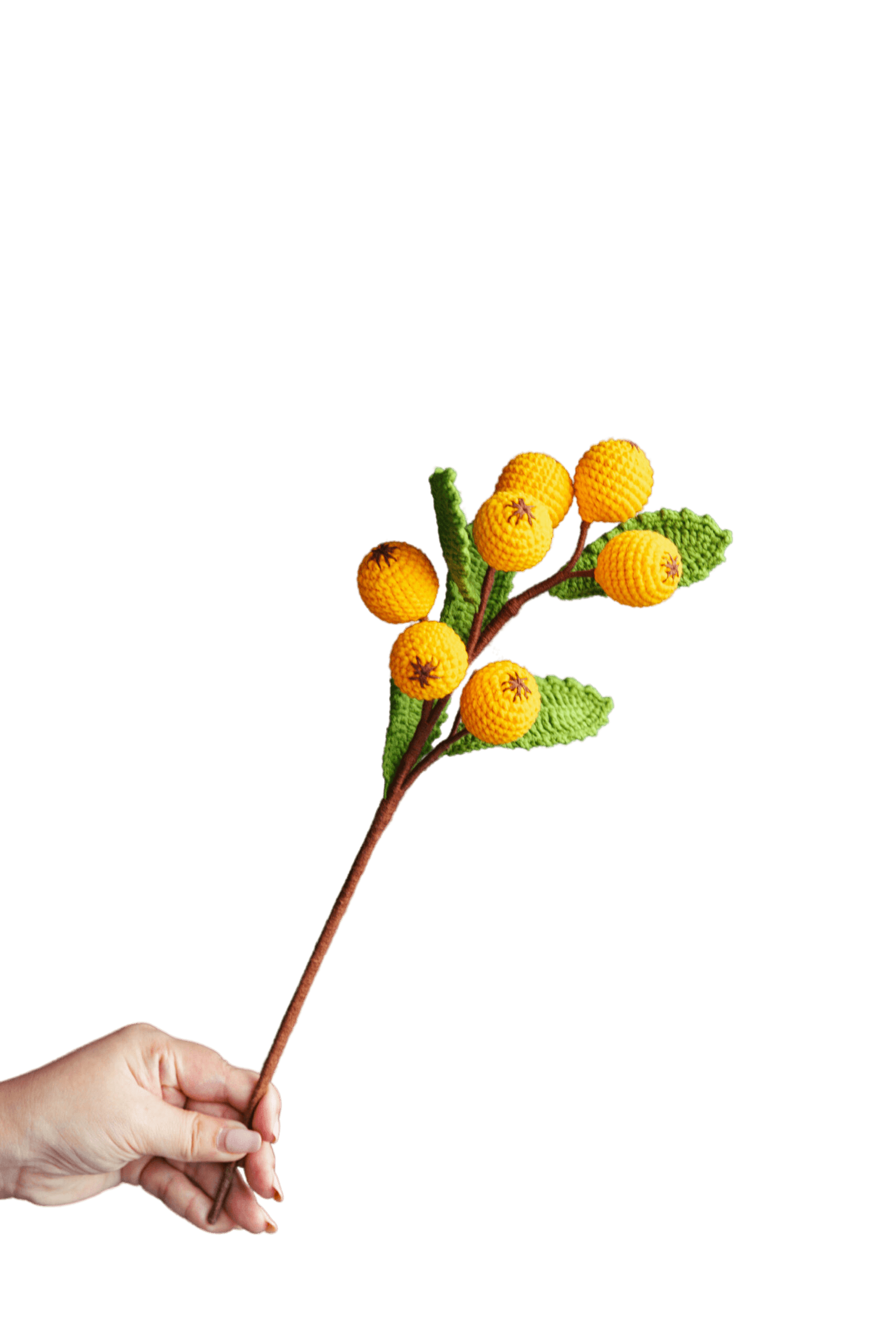 Crochet Loquat Branch - PDF Pattern with Free Video Tutorial Crochet Loquat Branch - PDF Pattern with Free Video Tutorial