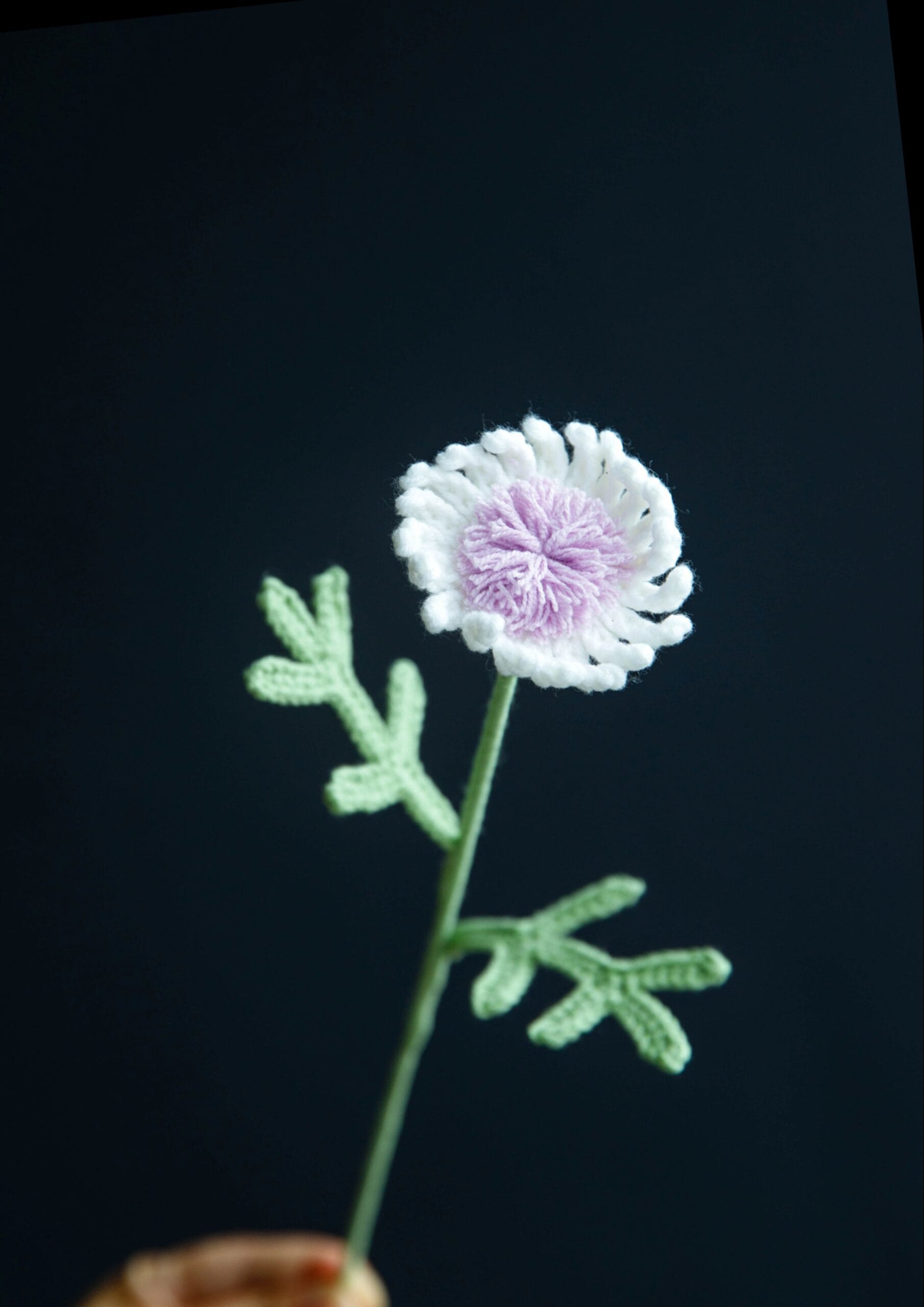 Crochet Marguerite Daisy Flower - PDF Pattern with Free Video Tutorial Crochet Marguerite Daisy Flower - PDF Pattern with Free Video Tutorial