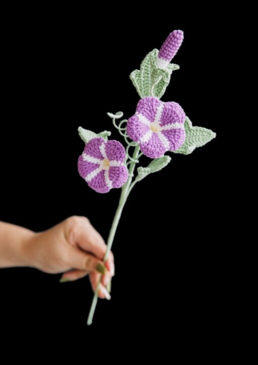 Crochet Morning Glory PDF pattern with free video tutorial, floral design, DIY crochet project.