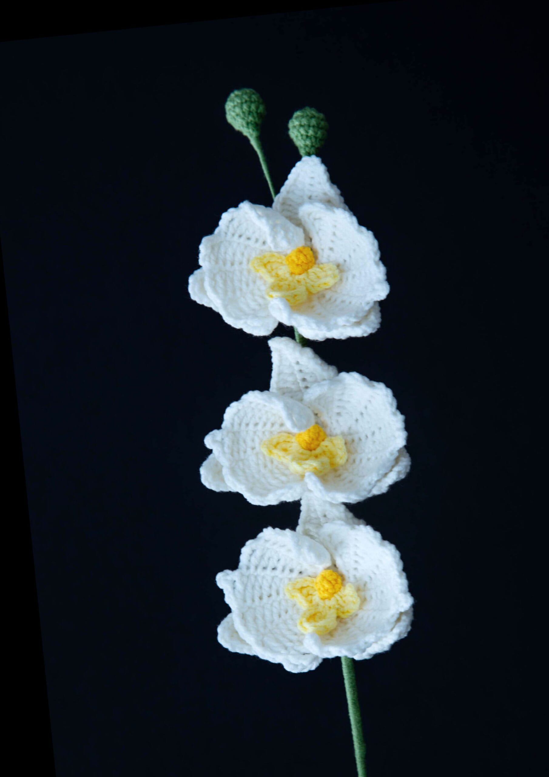 Crochet Moth Orchid - PDF Pattern with Free Video Tutorial Crochet Moth Orchid - PDF Pattern with Free Video Tutorial