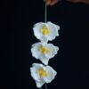 Crochet Moth Orchid PDF Pattern with free video tutorial, step-by-step instructions for making a crochet orchid.