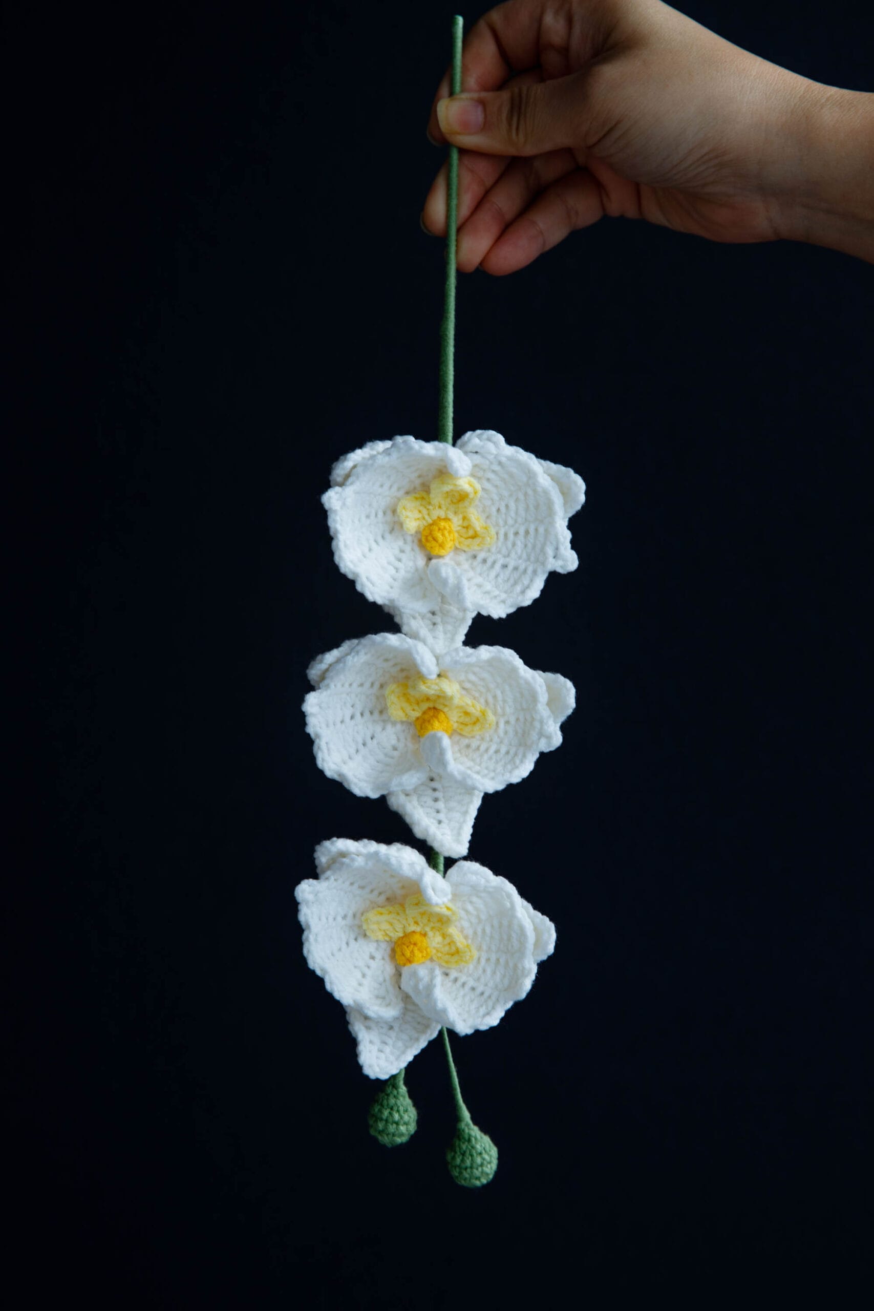 Crochet Moth Orchid - PDF Pattern with Free Video Tutorial Crochet Moth Orchid PDF Pattern with free video tutorial, step-by-step instructions for making a crochet orchid.