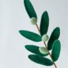 Crochet olive branch PDF pattern, includes free video tutorial. Ideal for crafting.