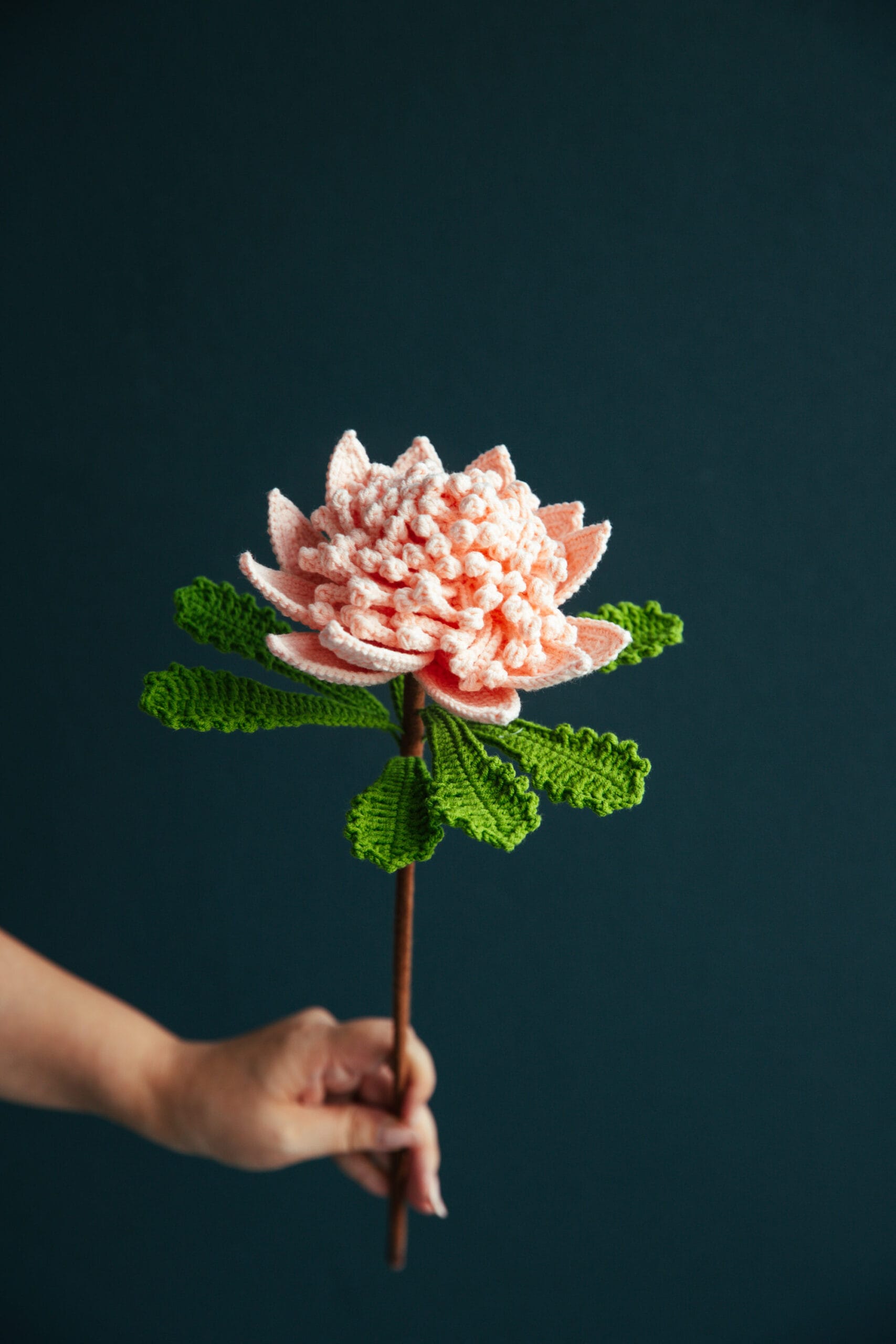 Crochet Protea Cynaroides - PDF Pattern with Free Video Tutorial Crochet protea cynaroides PDF pattern with free video tutorial, unique floral design for crafts and projects.