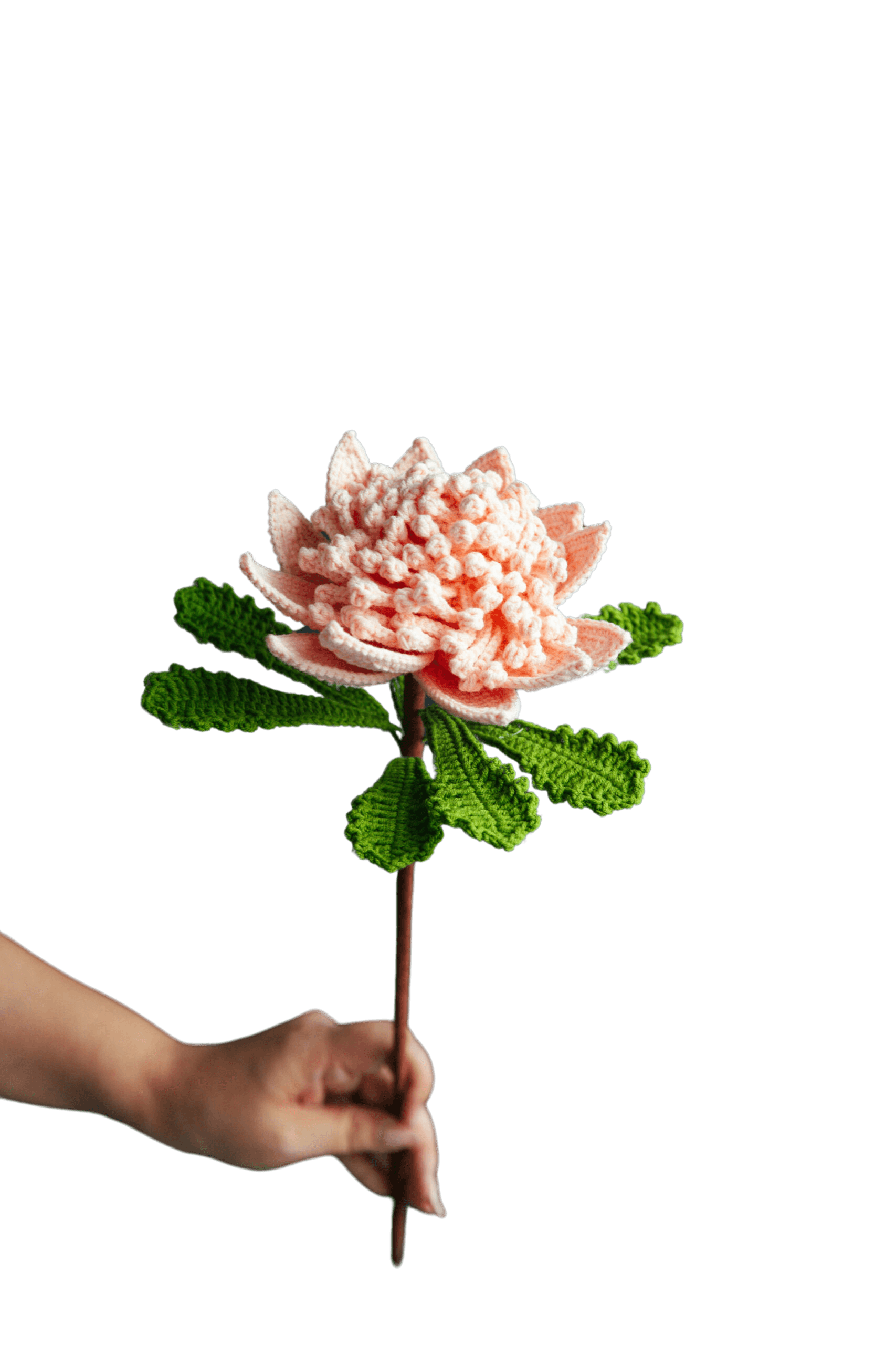 Crochet Protea Cynaroides - PDF Pattern with Free Video Tutorial Crochet Protea Cynaroides - PDF Pattern with Free Video Tutorial