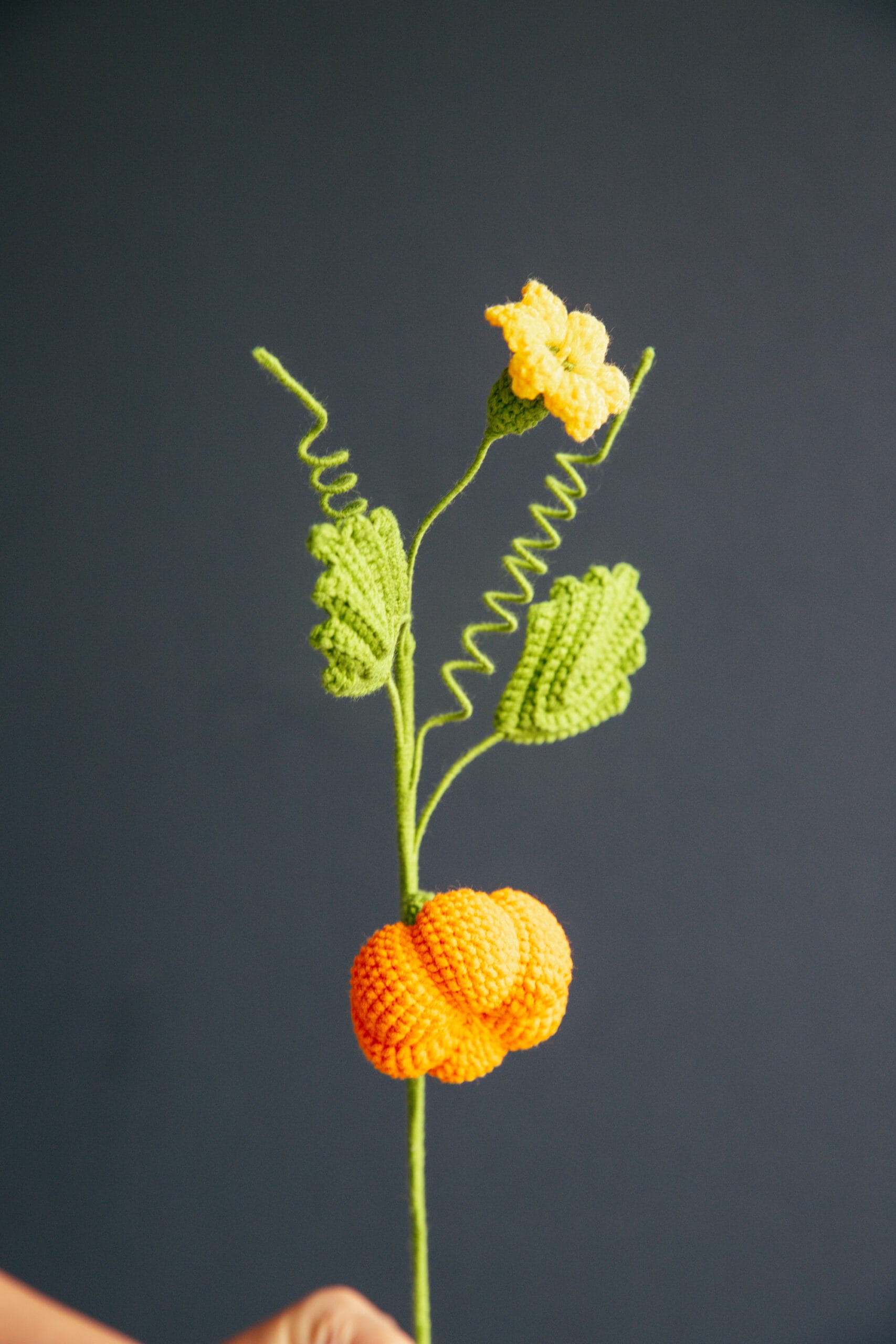 Crochet Pumpkin Branch - PDF Pattern with Free Video Tutorial Crochet pumpkin branch PDF pattern with free video tutorial, fall-themed DIY project for crafting lovers.