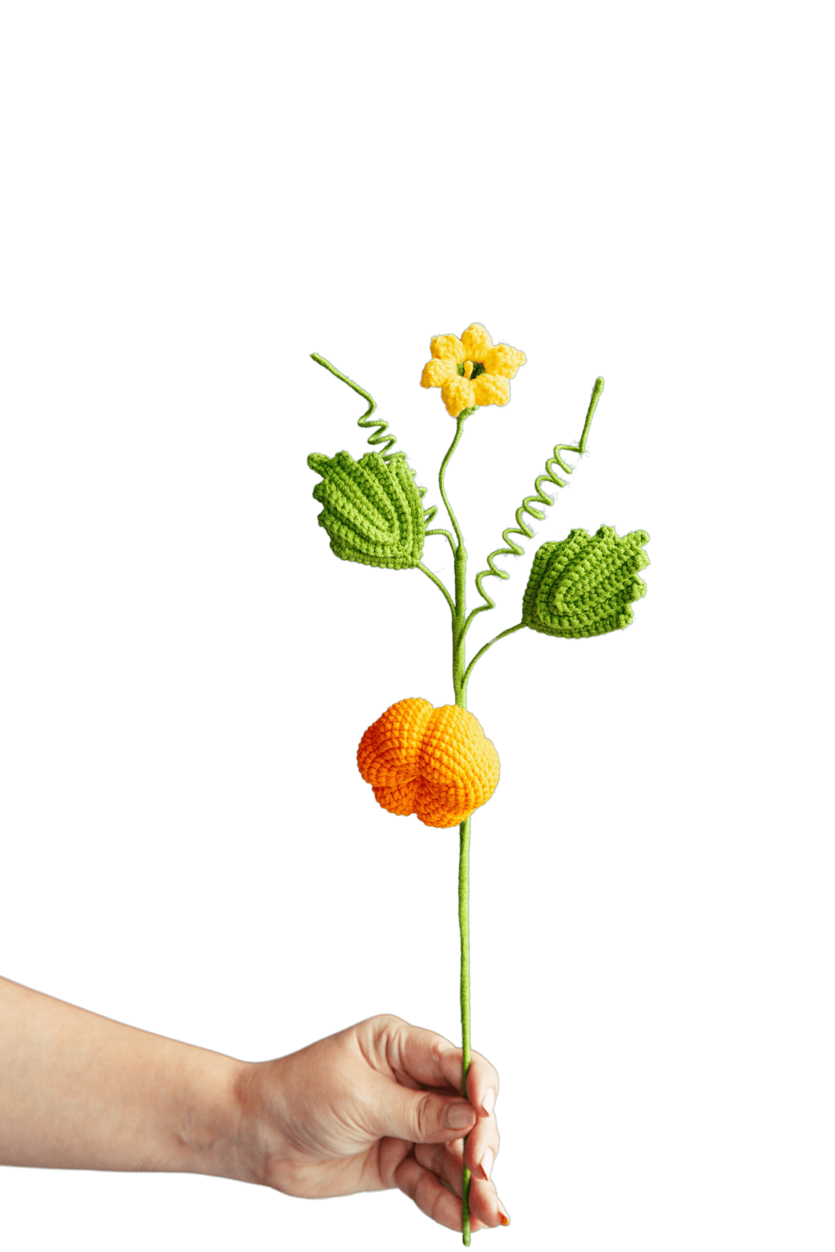Crochet Pumpkin Branch - PDF Pattern with Free Video Tutorial Crochet Pumpkin Branch - PDF Pattern with Free Video Tutorial