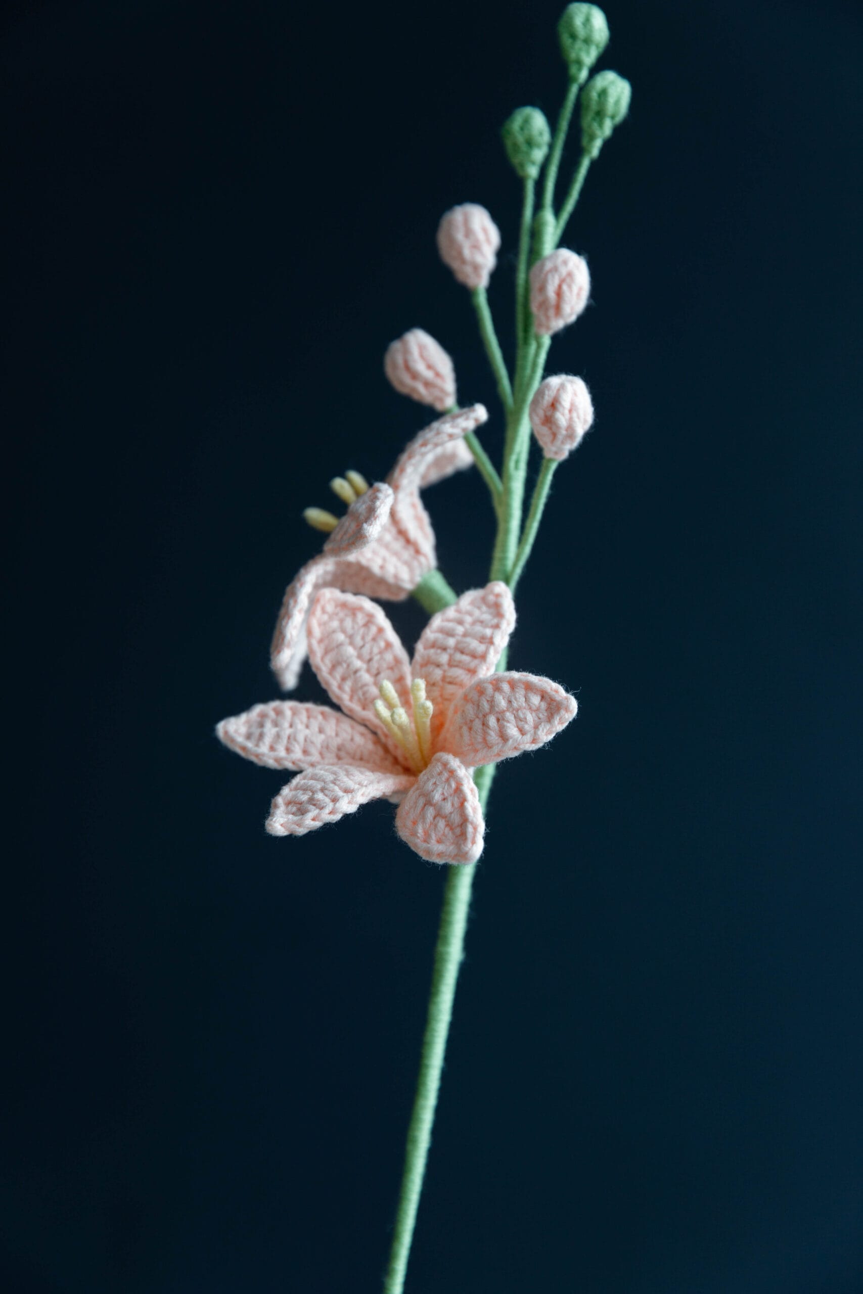 Crochet Renanthera Coccinea - PDF Pattern with Free Video Tutorial Crochet Renanthera Coccinea - PDF Pattern with Free Video Tutorial