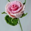 Crochet Roselle Rose PDF Pattern with Free Video Tutorial, detailed flower crochet guide, video tutorial included for crafting.