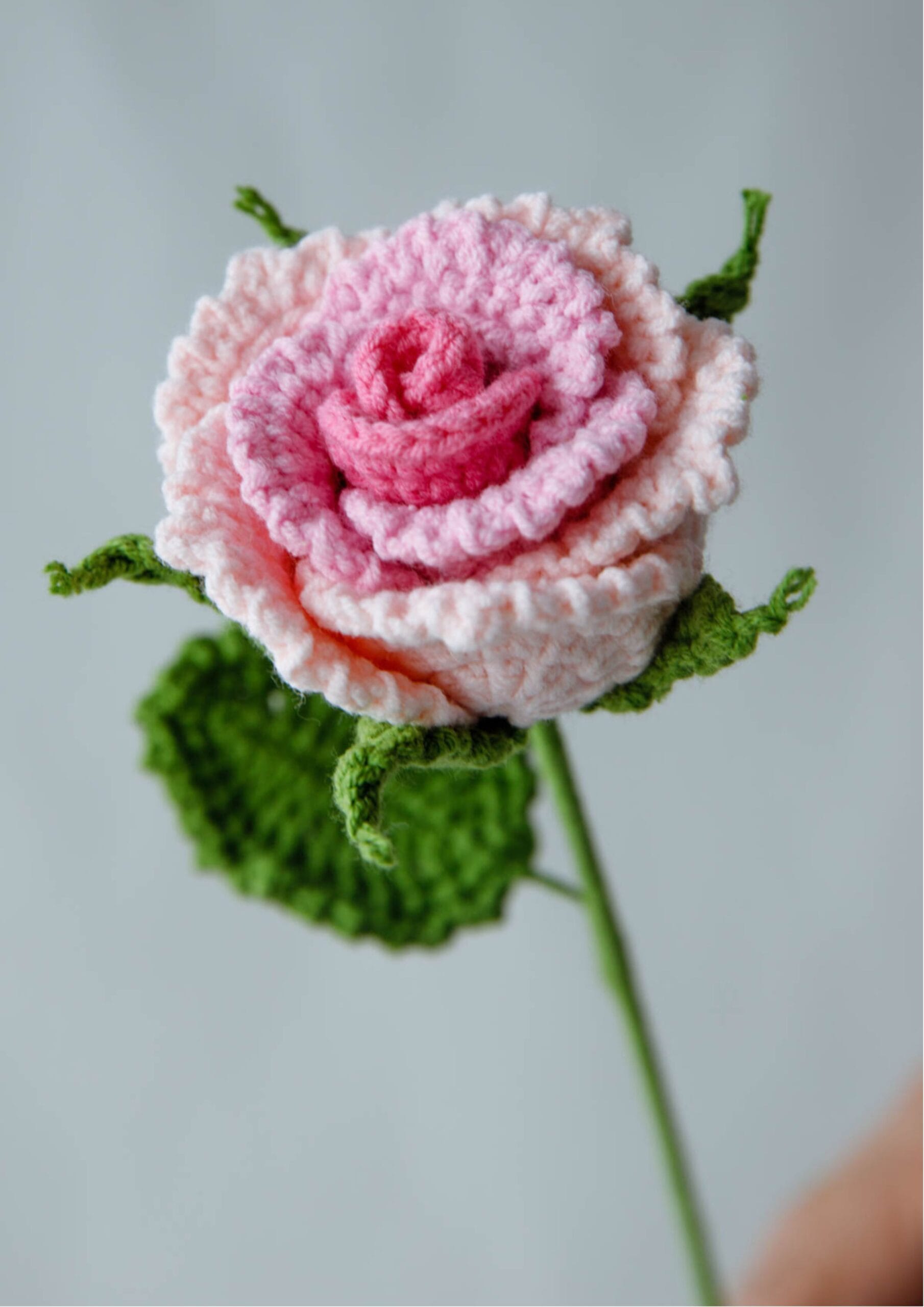 Crochet Roselle Rose - PDF Pattern with Free Video Tutorial Crochet Roselle Rose - PDF Pattern with Free Video Tutorial