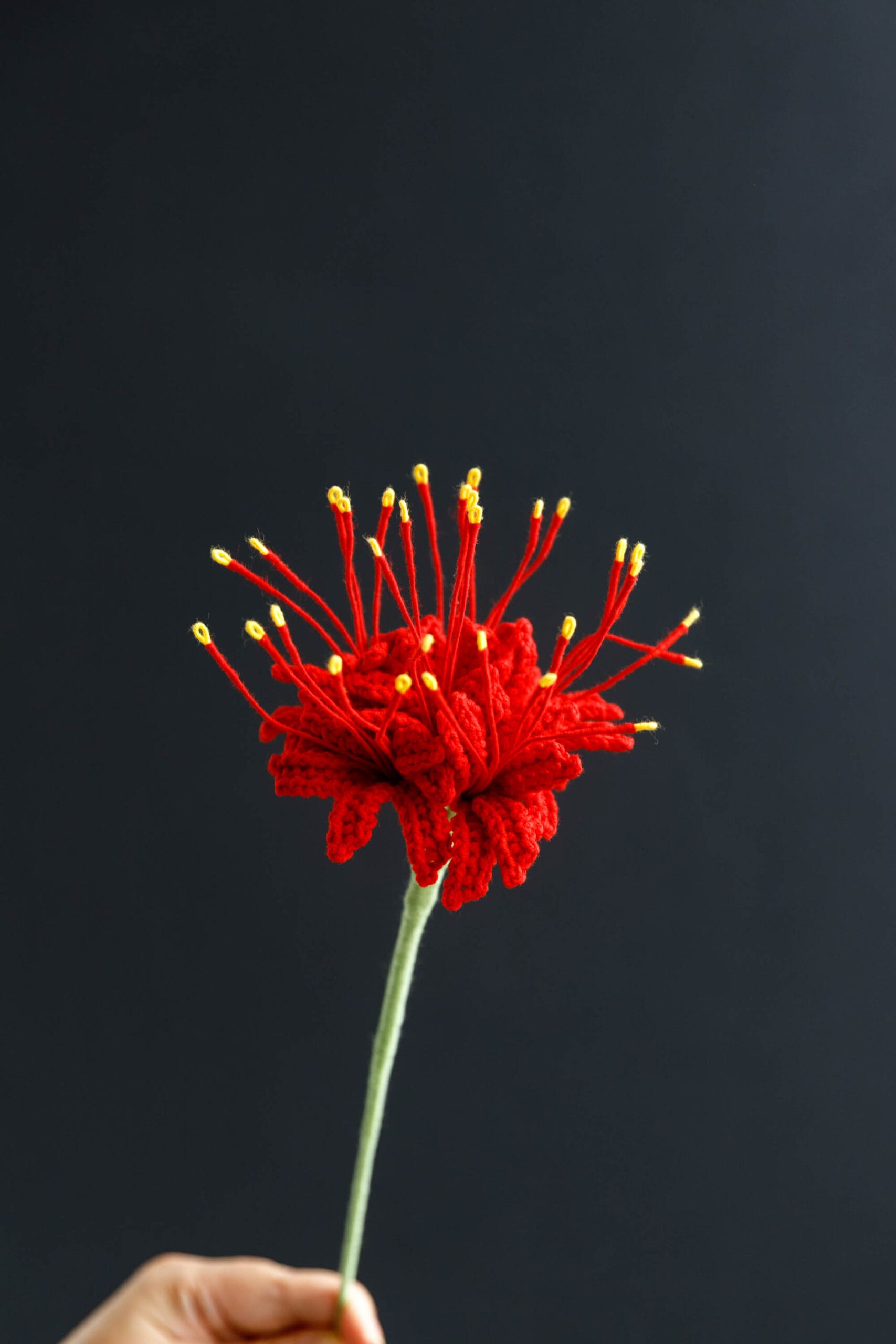 Crochet Spider Lily - PDF Pattern with Free Video Tutorial Crochet spider lily PDF pattern with video tutorial. Easy DIY crochet project for beginners.