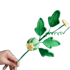 Crochet Watermelon Branch - PDF Pattern with Free Video Tutorial