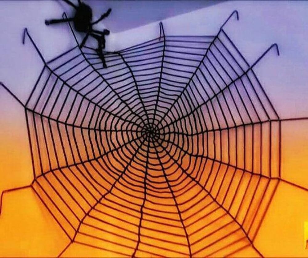 Free Halloween Spiderweb and Spider