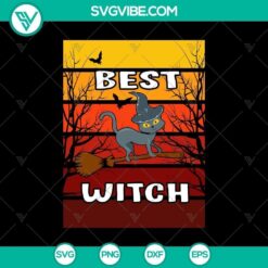 Funny cat riding a broom with Halloween elements, perfect for Halloween designs. Great for Trick or Treat and Halloween Mom projects.