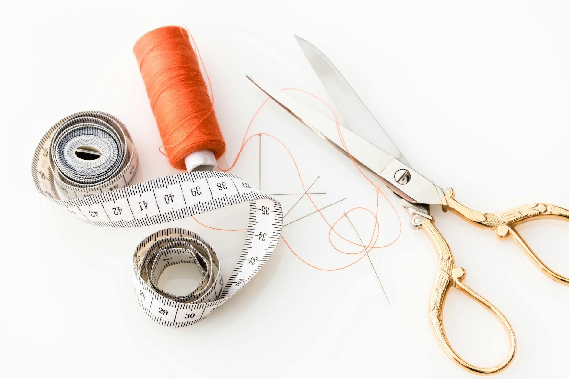 Thanksgiving Cricut SVG design examples for crafting projects