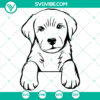 Labrador Retriever puppy SVG digital download with cute design. Ideal for animal lovers, crafting, and DIY projects.